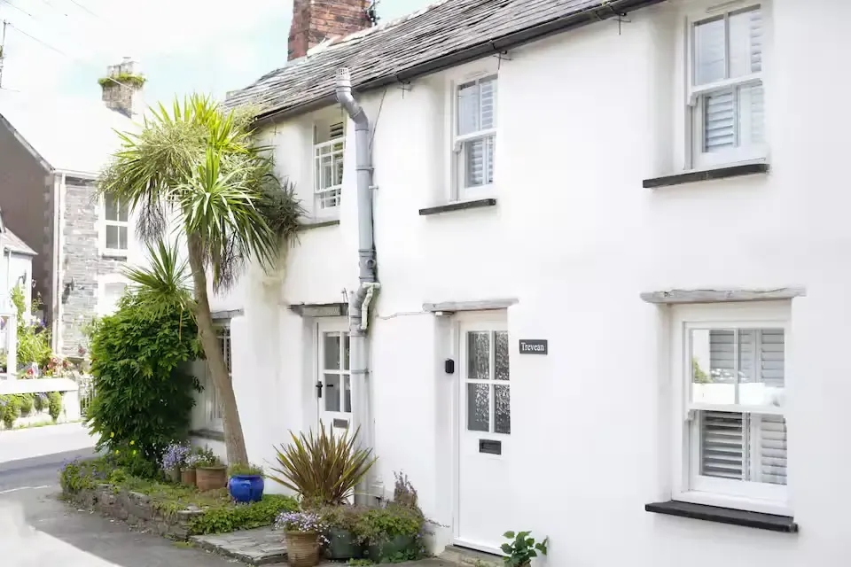 Whitewashed Cornish cottage with a palm by the door